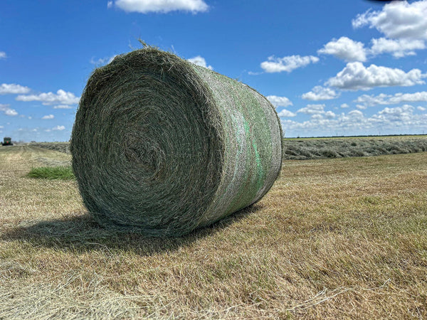 Hay There!