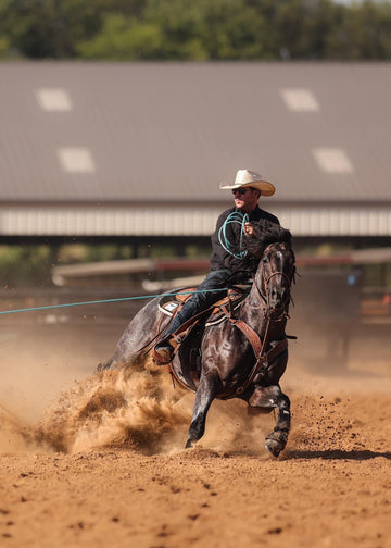 AQHA World Champion The Darkk Side Got His Start at the Wellborn 2R Ranch - Wellborn 2R Beef