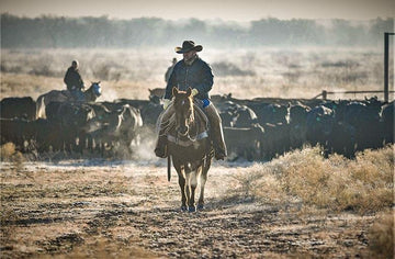 The Cowboys of the Wellborn 2R Ranch - Wellborn 2R Beef