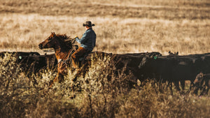 What is Cattle Verification? Wellborn 2R Ranch