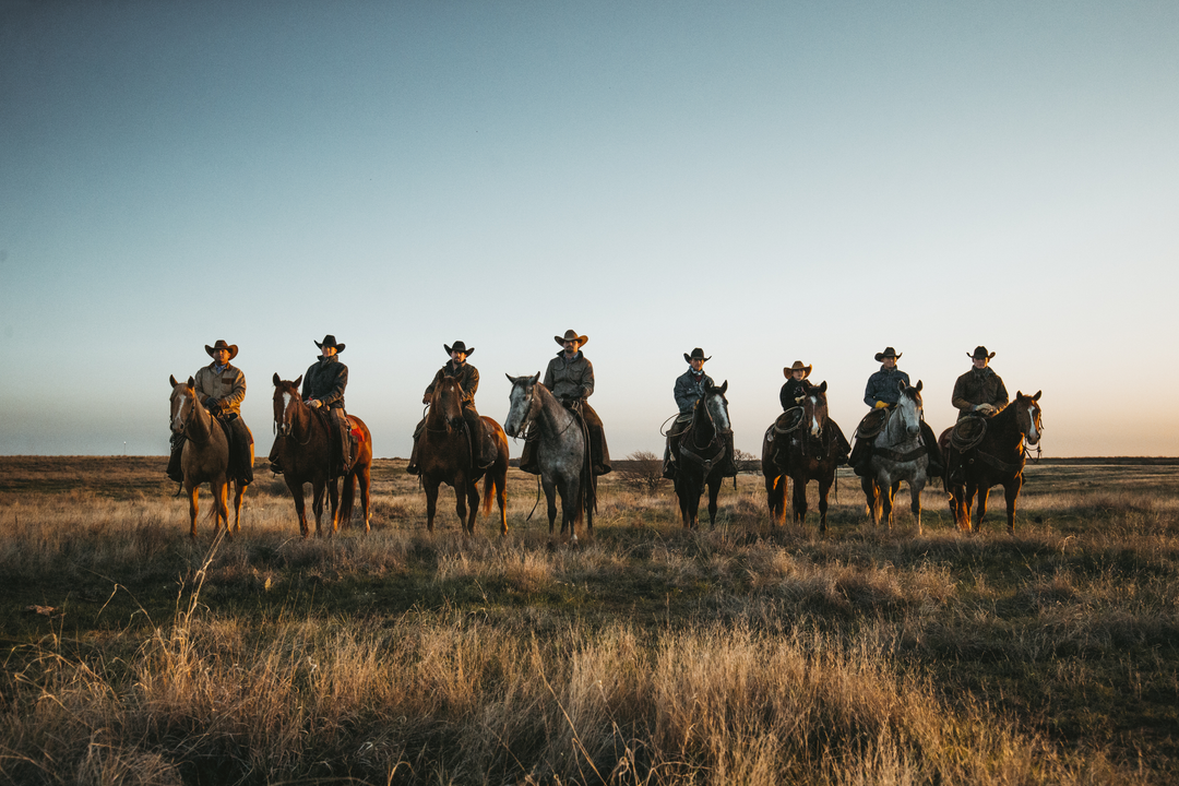 Wellborn 2R Cowboy with premium Angus cows