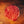 1/4 Whole Beef - Wellborn 2R Beef