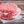1/4 Whole Beef - Wellborn 2R Beef