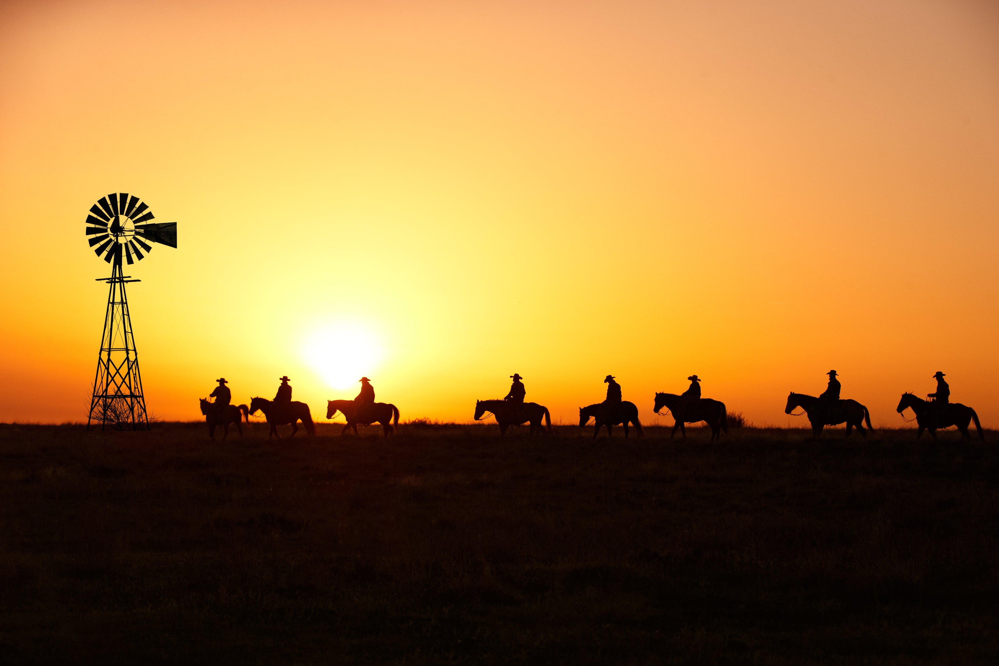 The Values of Wellborn 2R Ranch: The Window to the West - Wellborn 2R ...