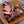 Bone-In Steakhouse Bundle - Wellborn 2R Beef