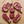Steak Lovers 6 - Pack - Wellborn 2R Beef