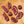 Steak Lovers 8-Pack - Wellborn 2R Beef