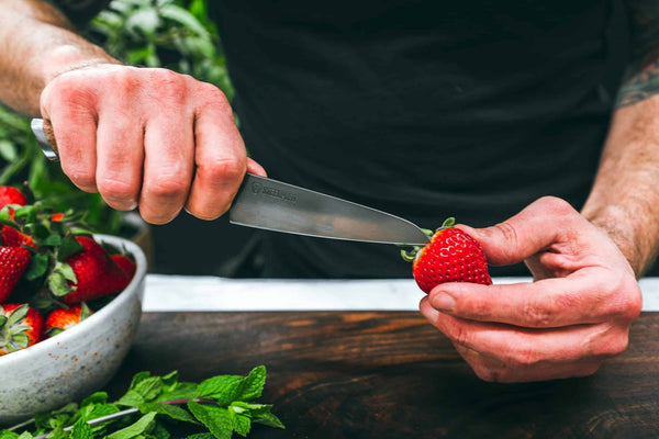 STEELPORT 4" Paring Knife - Wellborn 2R Beef