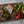 STEELPORT Bench Scraper