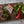 STEELPORT Bench Scraper - Wellborn 2R Beef