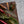 STEELPORT Everyday Knife & Board Set - Wellborn 2R Beef