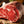 Prime Rib Roast (Bone-In) - Wellborn 2R Beef